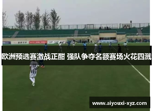 欧洲预选赛激战正酣 强队争夺名额赛场火花四溅