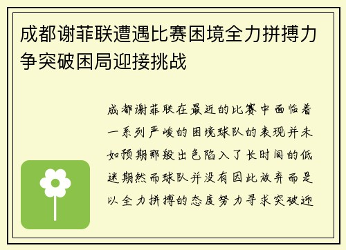 成都谢菲联遭遇比赛困境全力拼搏力争突破困局迎接挑战