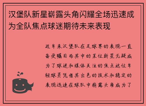 汉堡队新星崭露头角闪耀全场迅速成为全队焦点球迷期待未来表现