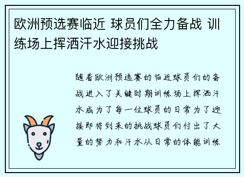欧洲预选赛临近 球员们全力备战 训练场上挥洒汗水迎接挑战